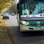 19 BONI
