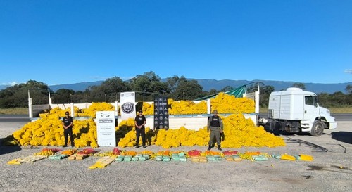 3297_limones