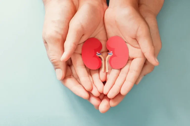 adulto-nino-papel-forma-rinon-dia-mundial-rinon-dia-nacional-donante-organos-concepto-donacion-caridad