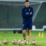 variantes-scaloni-debera-buscar-jugadores-podran-reemplazar-tres-futbolistas-atletico-madrid-1111918-104510