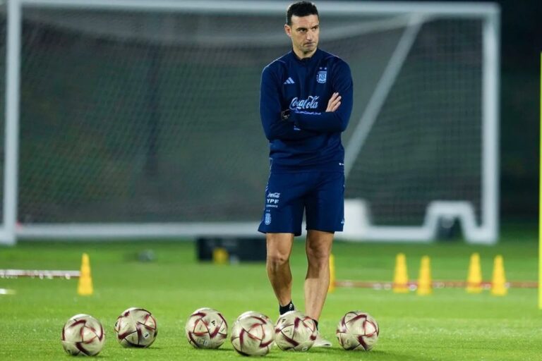 variantes-scaloni-debera-buscar-jugadores-podran-reemplazar-tres-futbolistas-atletico-madrid-1111918-104510