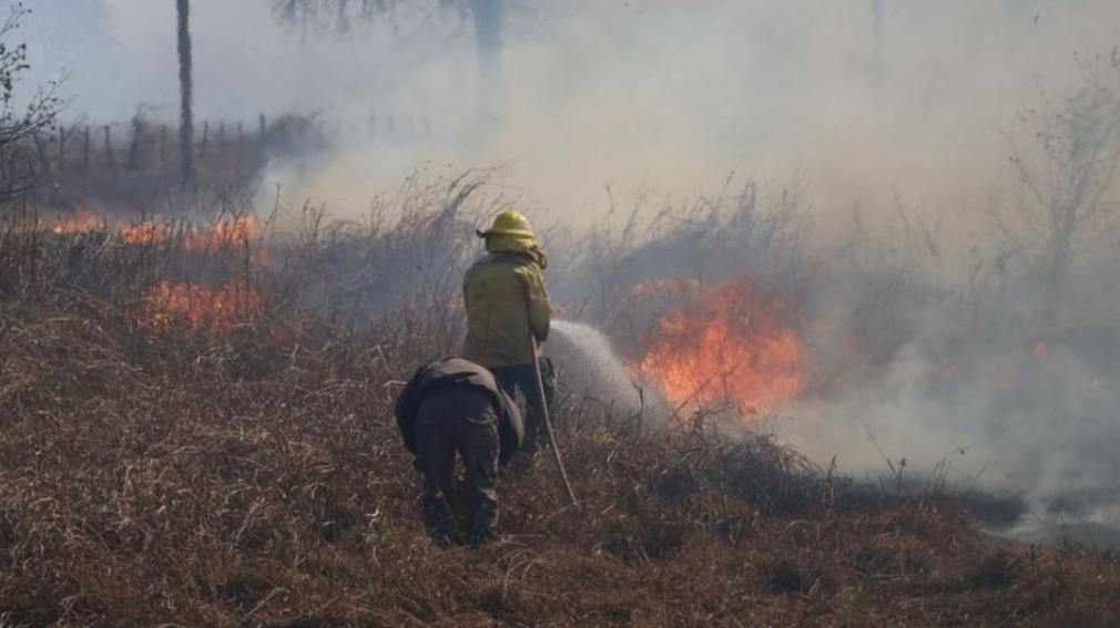1010x567_560478_20260722161308