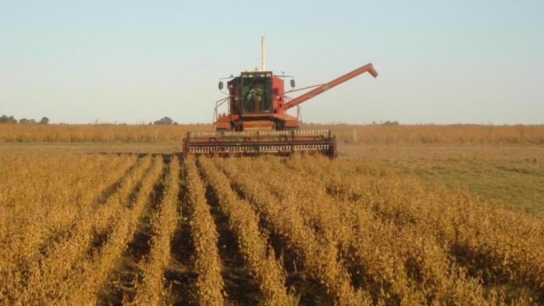 agrotuc_large