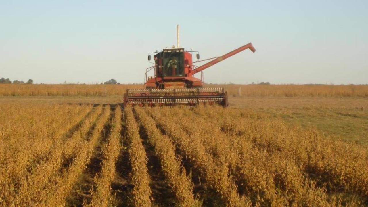 agrotuc_large