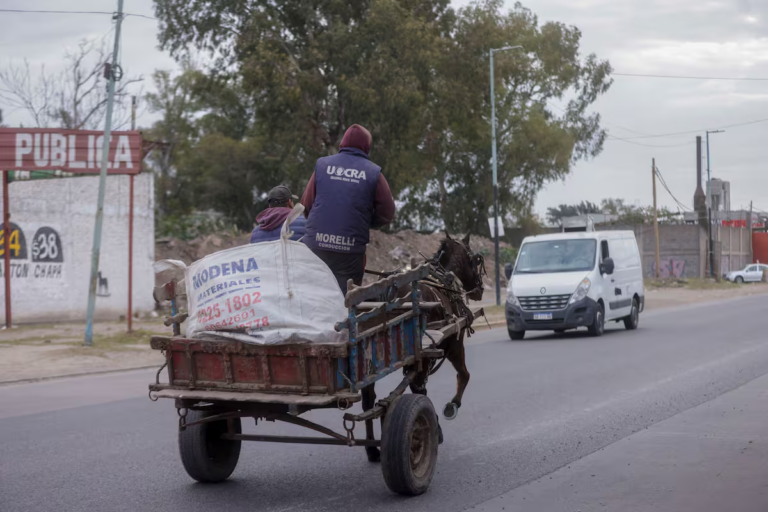 un-carro-tirado-por-un-caballo-circula-por-camino-A6ZJIPFE5FBUDBF3C3Y2BAQUTM